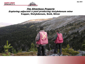 Silverboss Property Summary